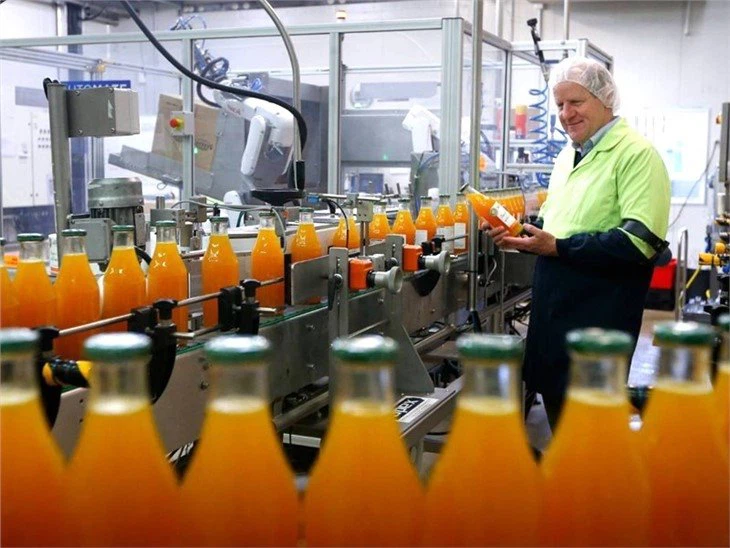 Jam Processing Plant Layout